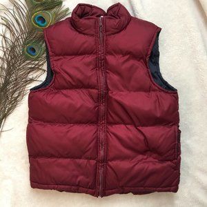 Gymboree Boys Puffer Vest